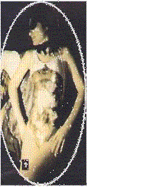 animation1.gif (94891 bytes)