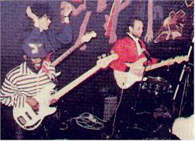 madlive.jpg (13684 bytes)